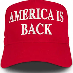 Logo de AMERICA IS BACK