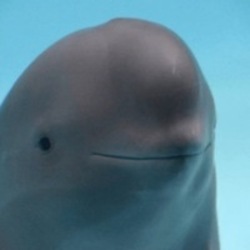 لوگو Smiling Dolphin