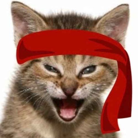Red Kitten Crew Logo