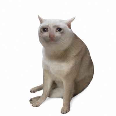 Логотип Cash Cat